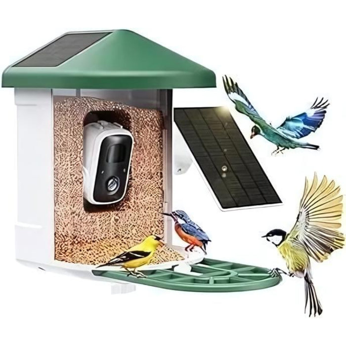 Solar Powered Smart Bird Feeder With AI Camera