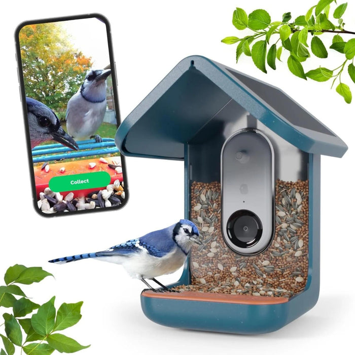 Solar Powered Smart Bird Feeder With AI Camera