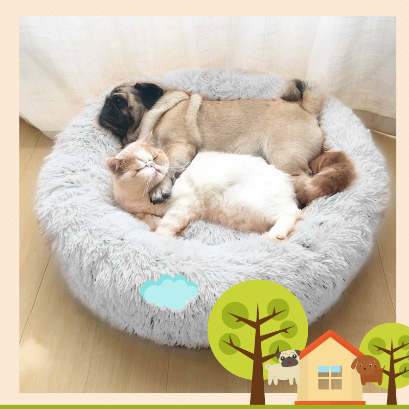 Comfy Calming Soft Pet Bed